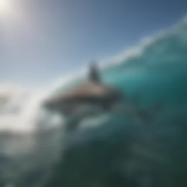 A biologist conducting research on shark behavior in the field.