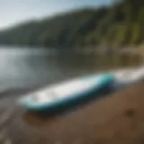 A sleek wakesurf board resting on a tranquil lake shore