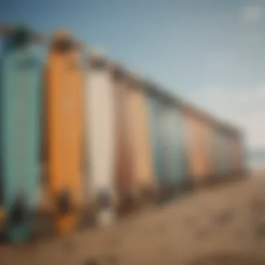 A selection of longboards lined up on the beach