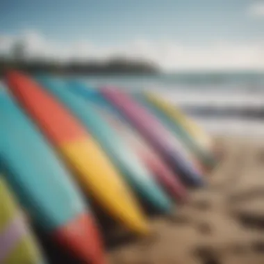 Colorful surfboards lined up on a sunny beach