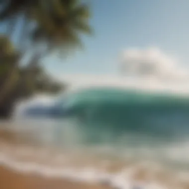 Nature's Beauty Embracing Chicama Surf Resort The serene environment surrounding Chicama Surf Resort