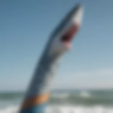 Close-up of a shark wind sock showcasing intricate designs