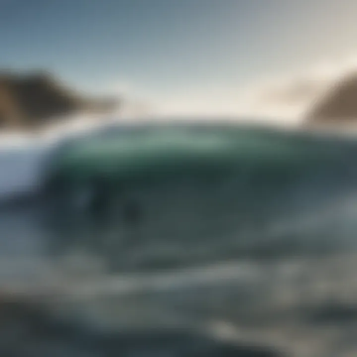 Cold water surfing scene with surfers