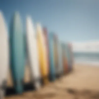 Surfboards lined up on the beach ready for use