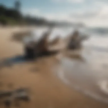 Driftwood scattered on a serene beach, representing the journey and resilience of surfers.