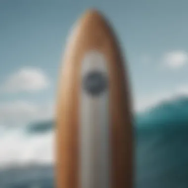 Overview of the Big Baron surfboard showcasing its design features