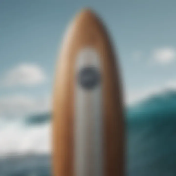 Overview of the Big Baron surfboard showcasing its design features