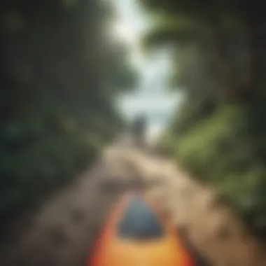 A serene forest path leading to a beach