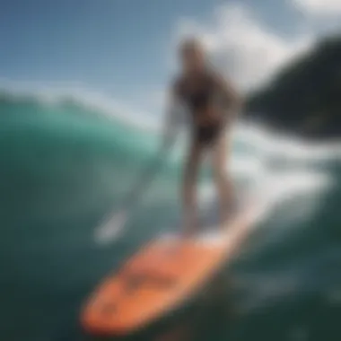 Evaluating Ecological Impacts of Paddleboards with Engines Ecological considerations of engine-equipped paddleboards