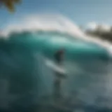 Surfer catching a wave in Puerto Rico