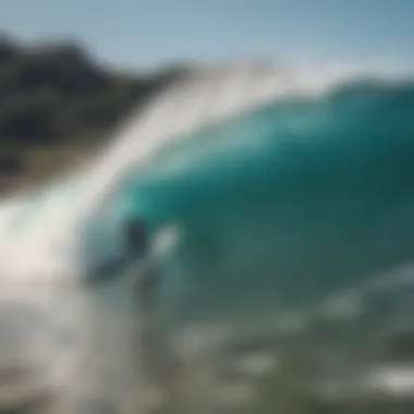 A group of surfers engaged in a community cleanup, emphasizing their bond with nature.