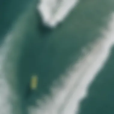 An aerial view of a pristine beach, highlighting the ecological balance of coastal environments