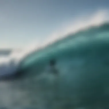 Surfer enjoying the waves while being aware of marine life