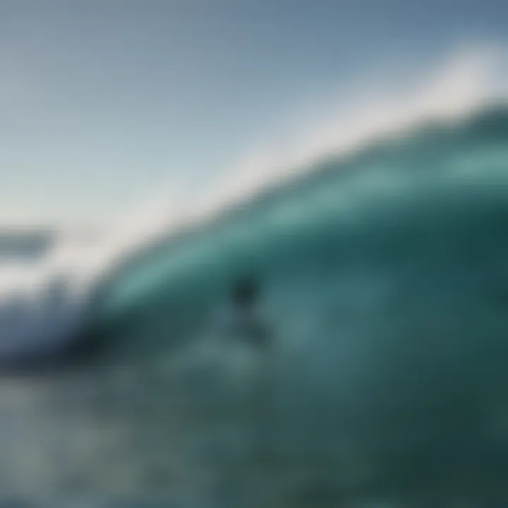 Surfer enjoying the waves while being aware of marine life