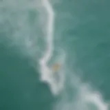 Aerial view of surfers catching waves in Aruba