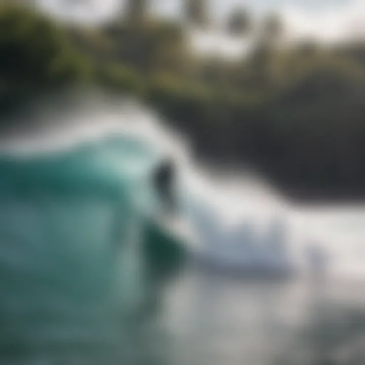 A group of surfers participating in a local surf culture event