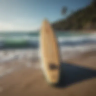 Eco-friendly surfboards made from sustainable materials displayed on the shore.