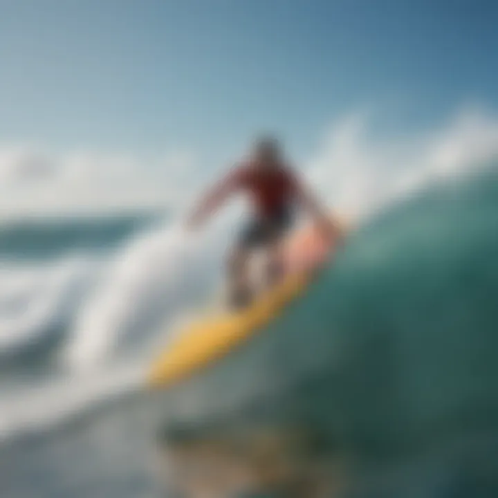 Close-up of eco-friendly materials used in surfing toys