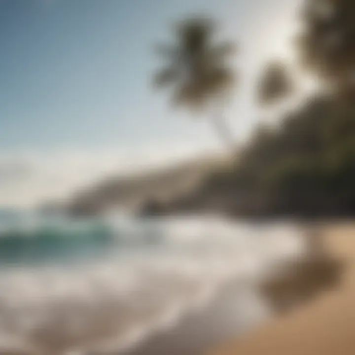 A pristine beach with surfers preparing to catch waves