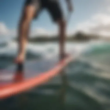 A close-up of the essential gear for paddle boarding and windsurfing