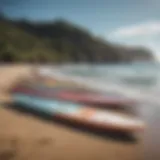 Diverse types of SUP boards displayed on a beach