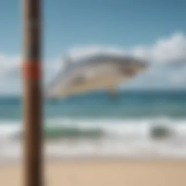 Installing a Shark Wind Sock Installation of a shark wind sock on a beachside pole