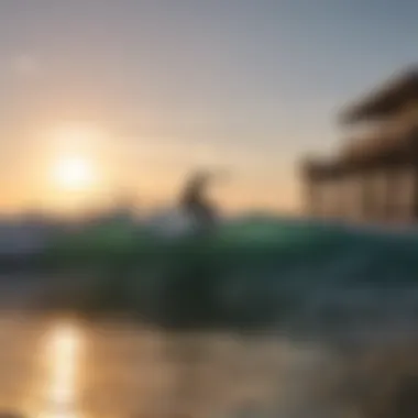 Surfers catching waves at sunset, highlighting the connection between surf culture and marine life.