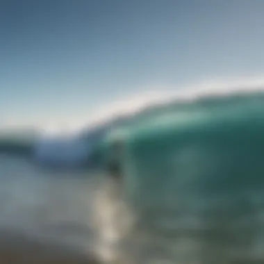 Surfers using shark finders for safety in the ocean