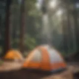 A portable solar shower set up in a picturesque camping site surrounded by trees.