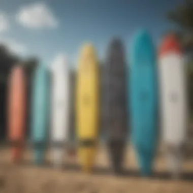 Variety of paddle boards showcasing different designs