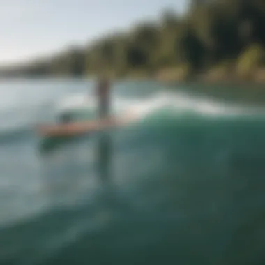 A vibrant community gathering for a paddle boarding event