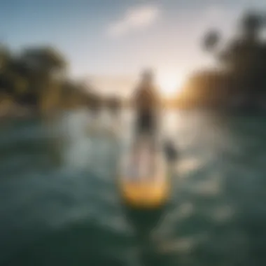 A group of paddle boarders enjoying a sunny day on the water.