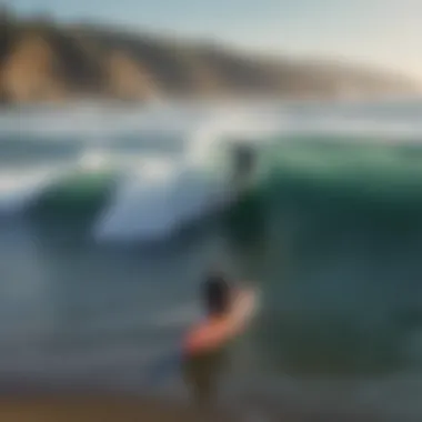 California's Coastline: Conservation in Action A serene Californian coastline with a focus on marine conservation efforts