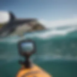 A detailed view of a shark tracking device in use