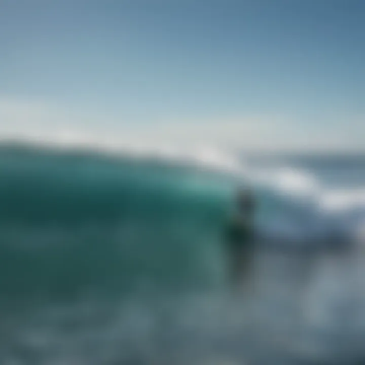 Surfers enjoying the ocean while being monitored by shark tracking systems