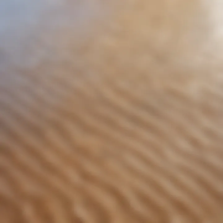 Close-up of skim board materials showcasing texture and design