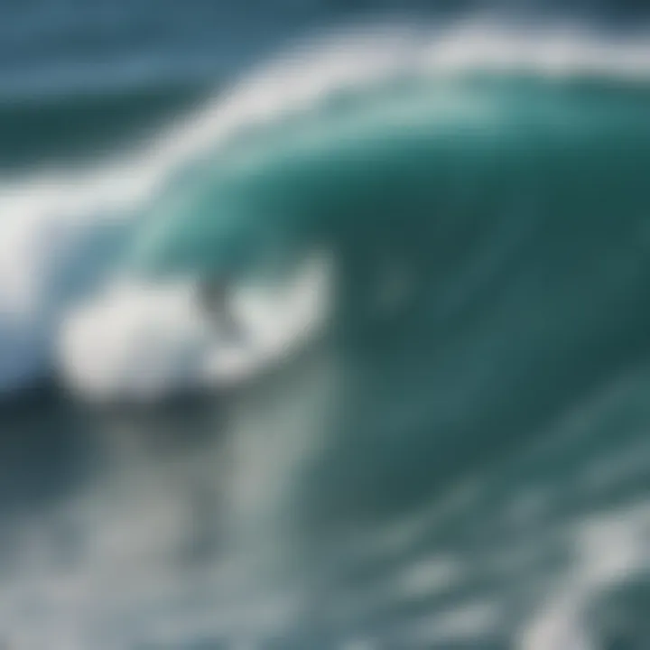 An aerial view capturing the synergy between surfers and the waves.