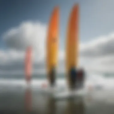 Surfers Using Wind Socks for Forecasting Surfers observing wind patterns using shark wind socks