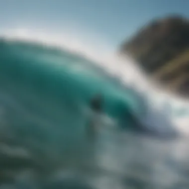 Adopting Sustainable Surfing Practices Sustainable surfing practices in action