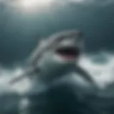 Great white shark gliding through the ocean depths