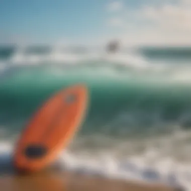 Different types of foam core skimboards displayed