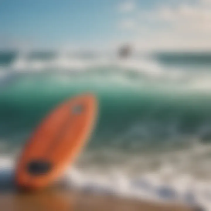 Different types of foam core skimboards displayed