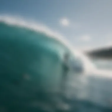 Surfers and Divers: The Beneficiaries of Shark Repellent Technology A surfer and diver enjoying the sea, representing the target audience for shark repellents.