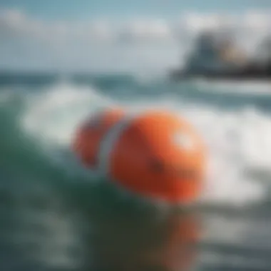 Environmental Impact of Water Buoys An infographic displaying the environmental impact of water buoys in marine ecosystems
