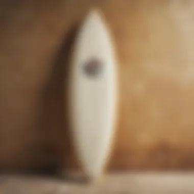 Nostalgic Charm: A Vintage Surfboard as Wall Art Vintage surfboard mounted as wall art